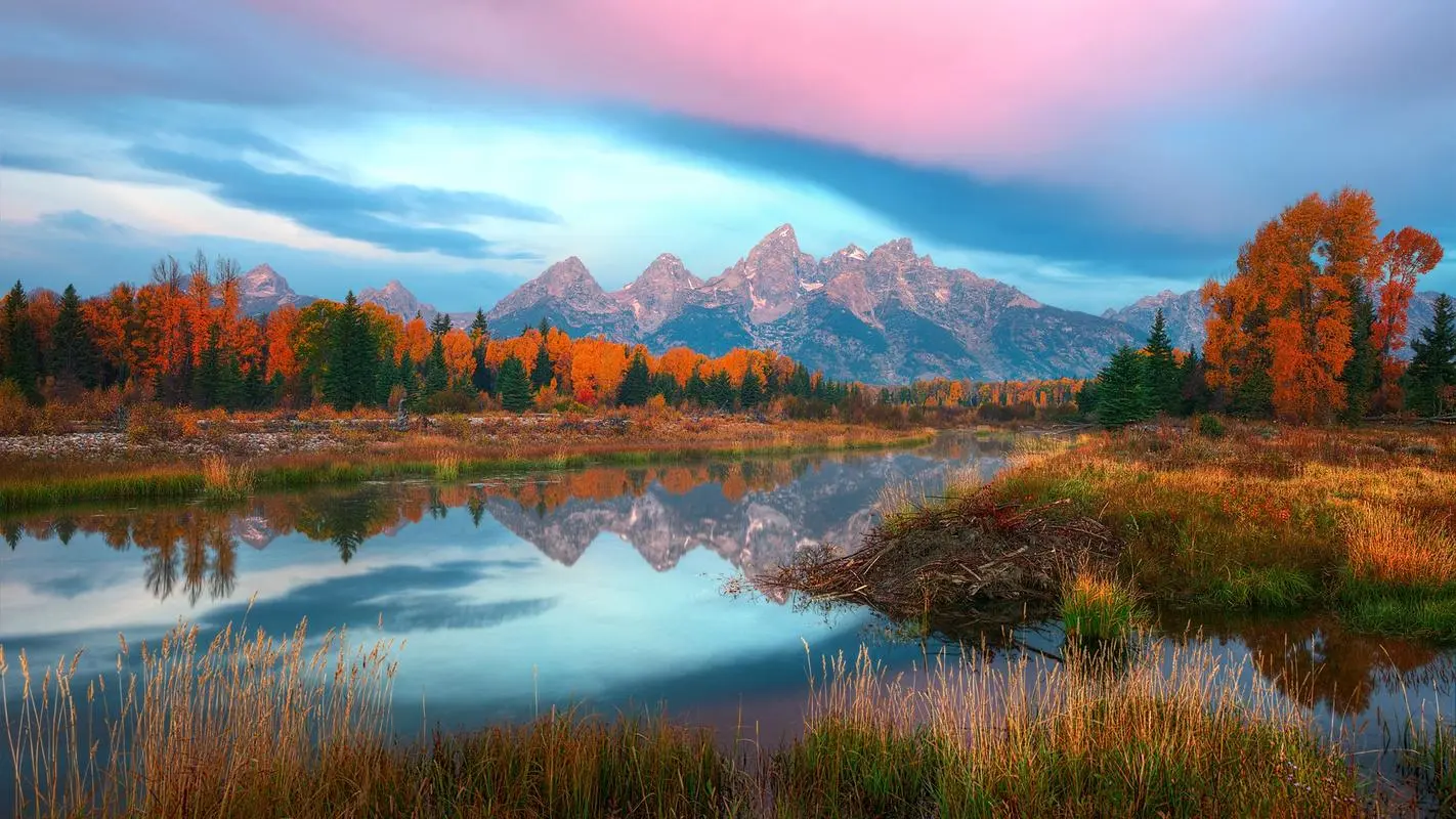 可靠性高精度
